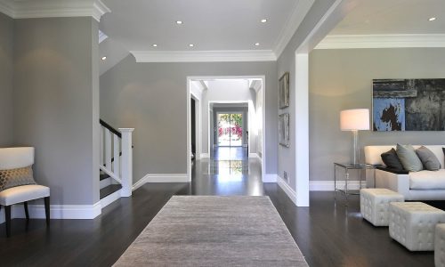 Carrollwood homes for sale